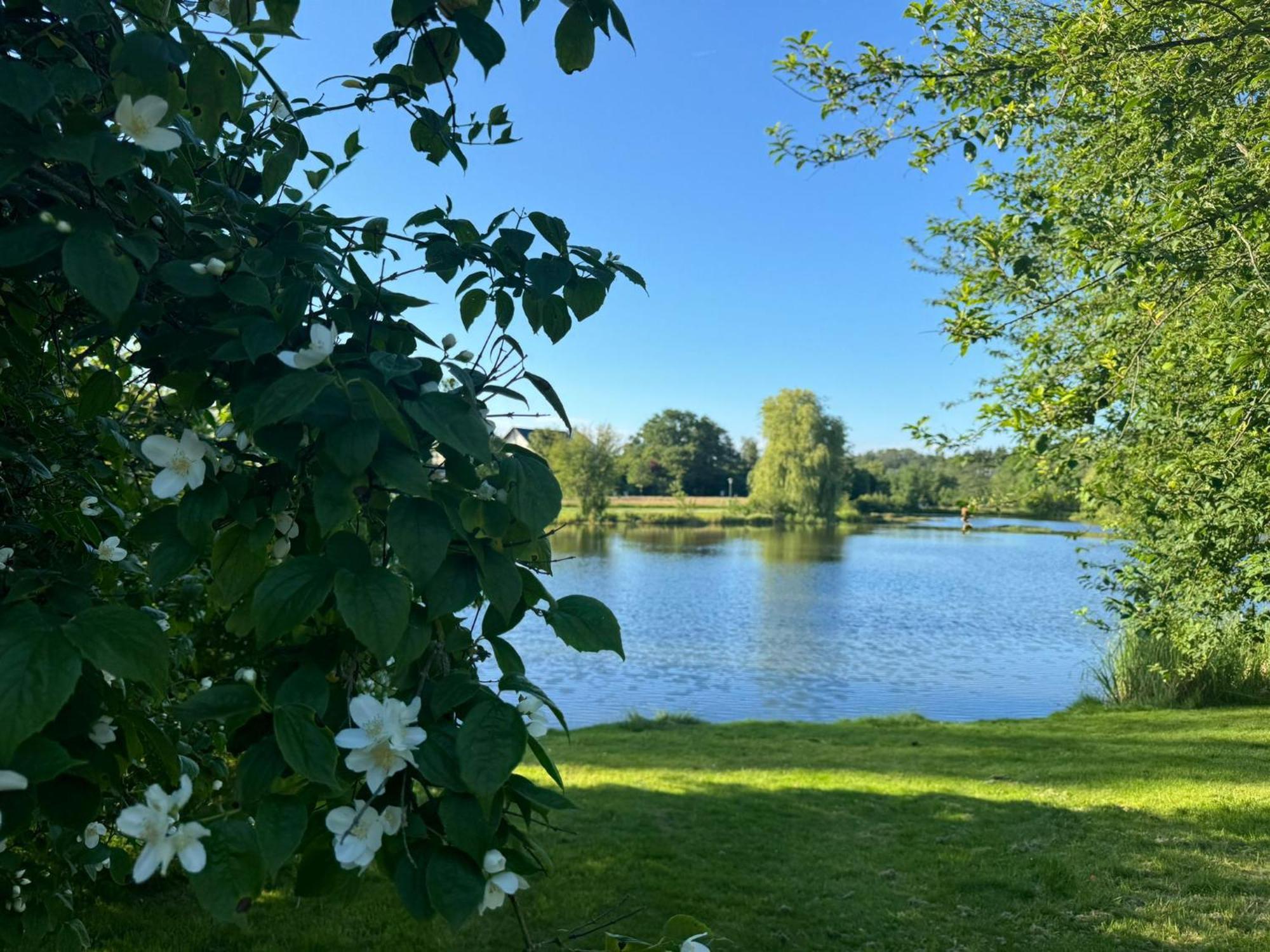 Schloss Hotel Kastellaun Zewnętrze zdjęcie